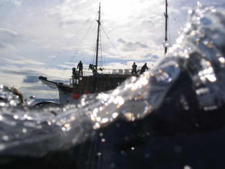 Gulet - Yacht Charter Sailica