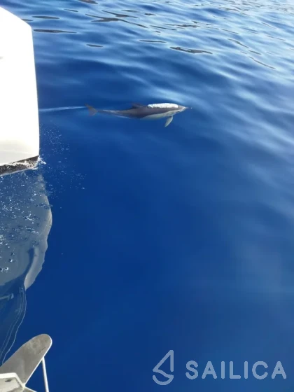 Lagoon 46  - Yacht Charter Sailica