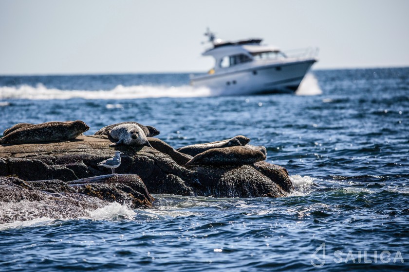 Nimbus 405 Coupe - Yacht Charter Sailica