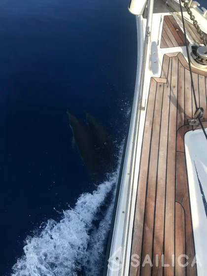 Ocean Star 51.2 - Photo #56 Ocean Star 51.2 - Yacht Charter Sailica