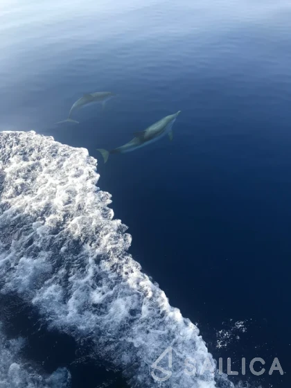 Ocean Star 51.2 - Photo #57 Ocean Star 51.2 - Yacht Charter Sailica