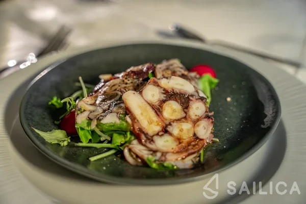 Motoryacht - Yacht Charter Sailica