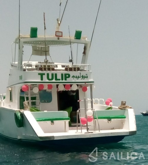 Rashid Shipyard - Yacht Charter Sailica