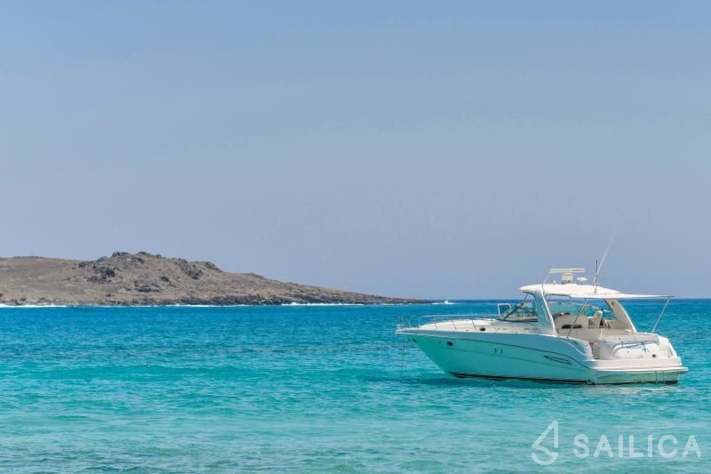 Sea Ray 46 - Yacht Charter Sailica