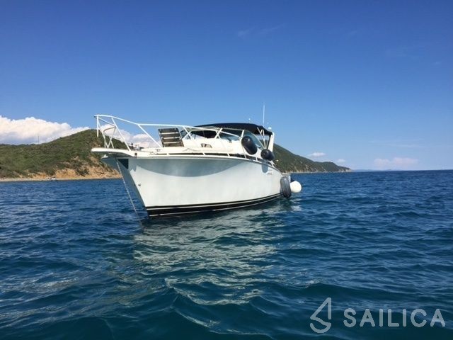 Bertram 38 - Yacht Charter Sailica