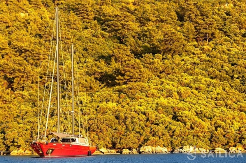 Gulet - Yacht Charter Sailica