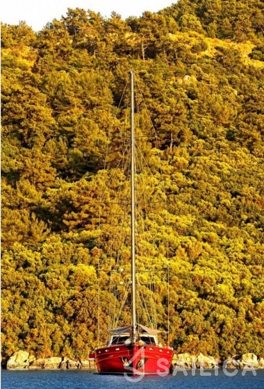 Gulet - Yacht Charter Sailica