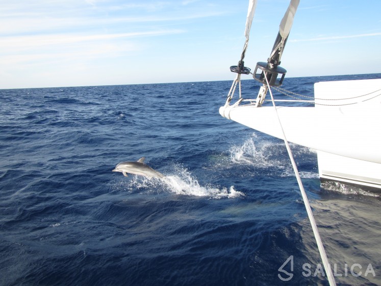 Catana 72 - Yacht Charter Sailica
