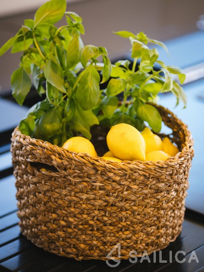 Sunreef 60 - Yacht Charter Sailica